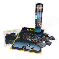 Image de Splendor - Hobby Next Kit