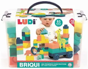 Image de Briqui Mes Premières Constructions