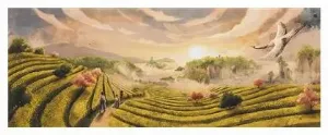 Image de Kamicha - Écran Du Meneur