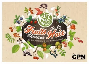 Image de Kiquimank? Fruits Charnus De La Haie
