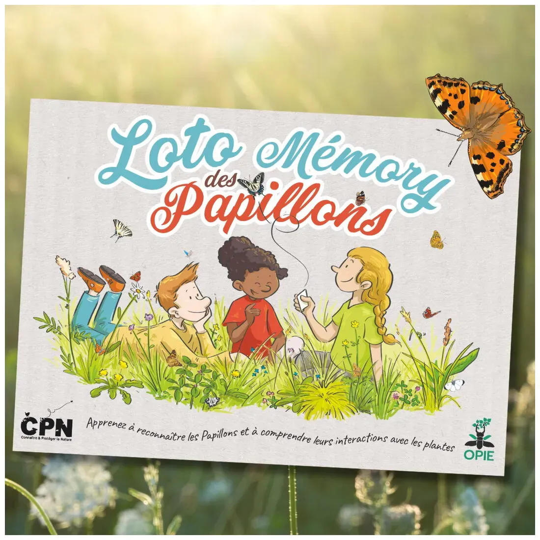 Image de Loto Mémory Des Papillons