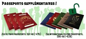 Image de The Troubleshooters - Jeu De Trois Passeports