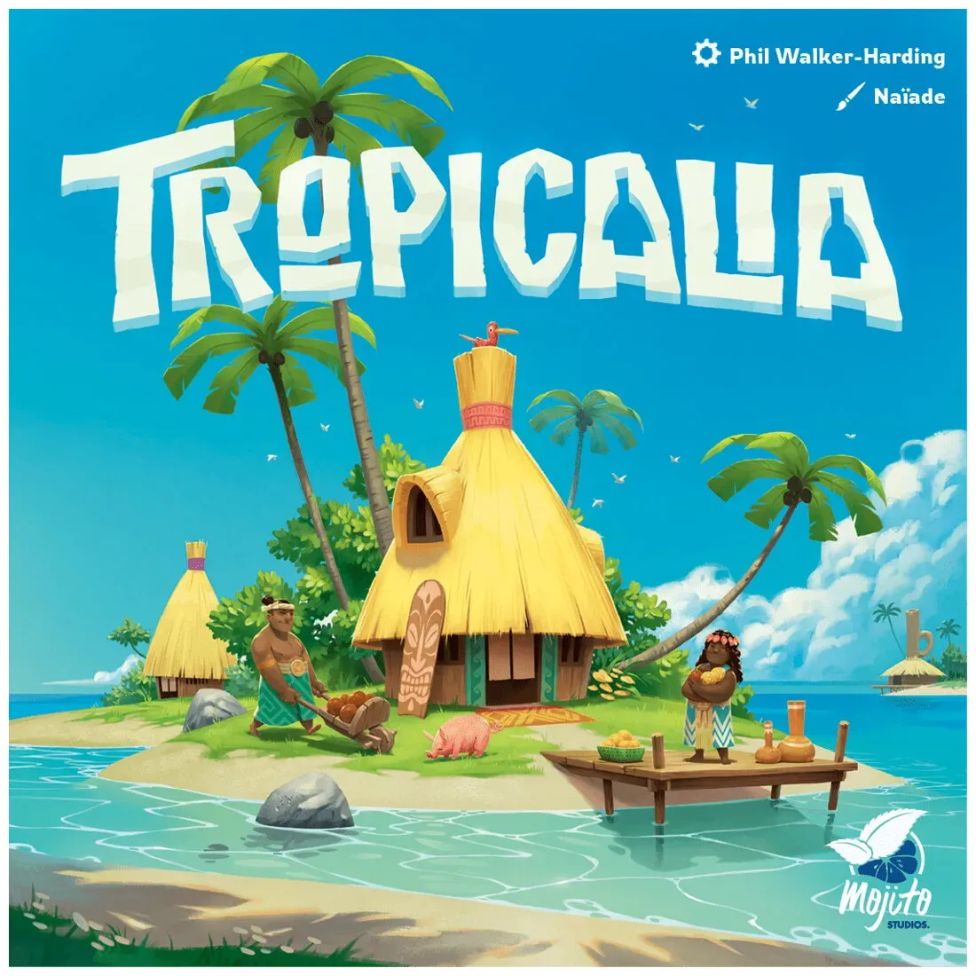 Couverture du jeu