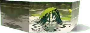 Image de Vaesen - Screen And Map