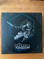 Boîte de It's A Wonderful Kingdom : Legends (kickstarter)