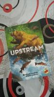 Boîte de Upstream