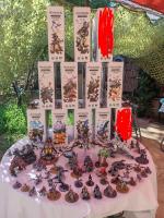 Boîte de Horizon Zero Dawn