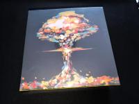 Boîte de Defcon 1
