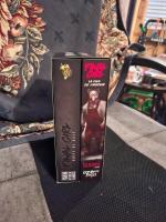 Boîte de Final Girl Kit De Démarrage Vf