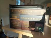 Boîte de The Isofarian Guard